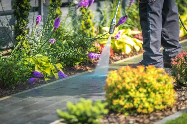 Best Dumpster Area Cleaning  in Muniz, TX